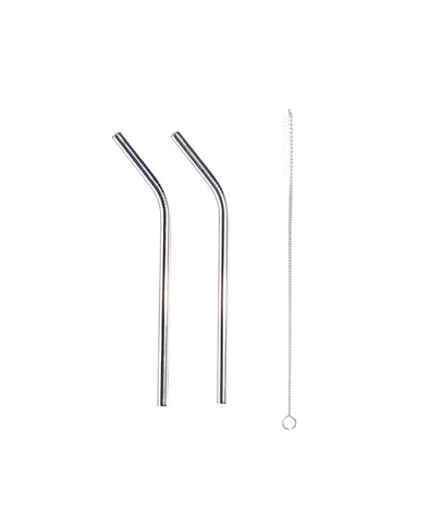 Stainless Steel Straw and Cleaner Set